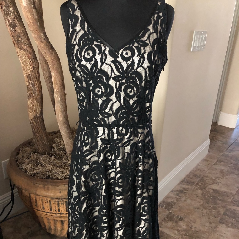 Tahari Black/Cream Lace Dress - Picture 1 of 8
